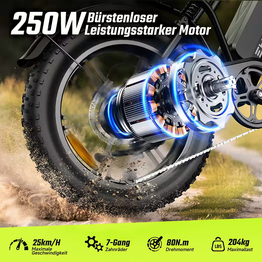 SISIGAD R002 PLUS Fatbike E-Bike 20 Zoll