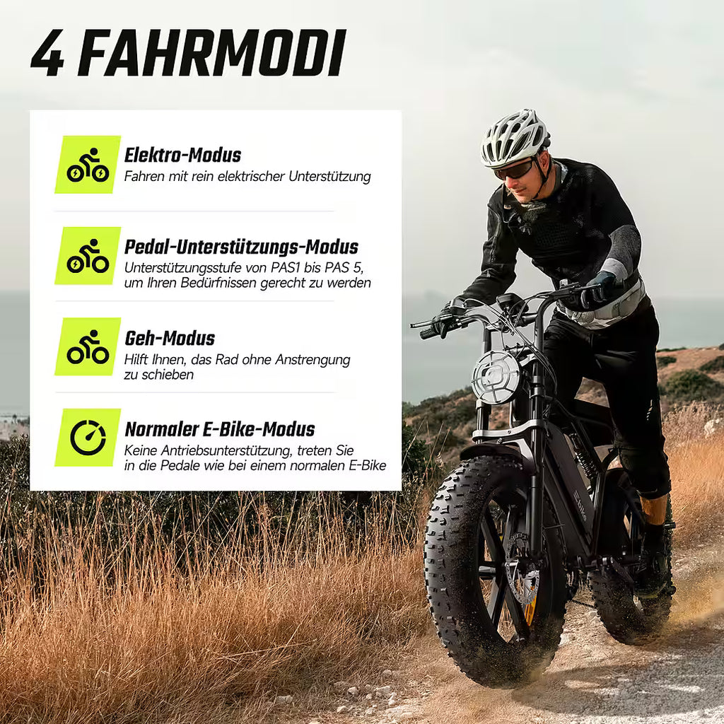 SISIGAD R002 PLUS Fatbike E-Bike 20 Zoll