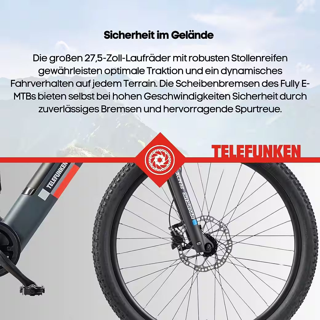 TELEFUNKEN Aufsteiger M936 E-Bike Mountainbike