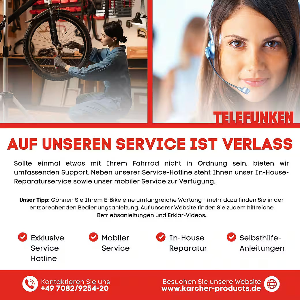 TELEFUNKEN Aufsteiger M936 E-Bike Mountainbike