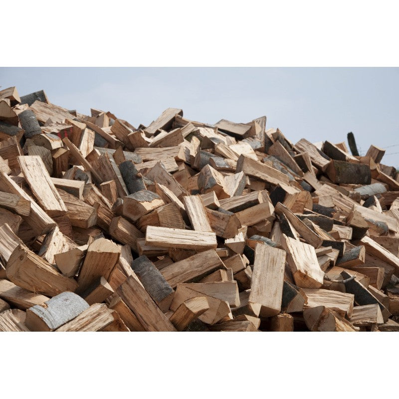 Fresh-Cut Firewood Logs – Green Wood (Steres) – Not Kiln-Dried