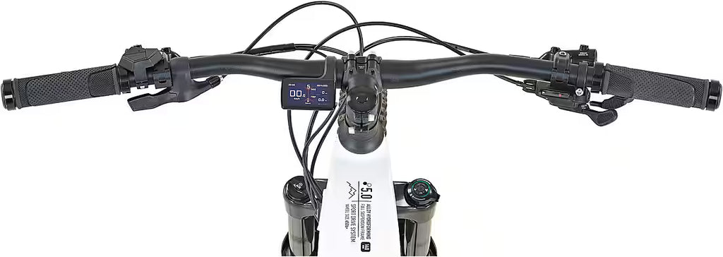 PROPHETE Dice 5.0 E-Bike Mountainbike