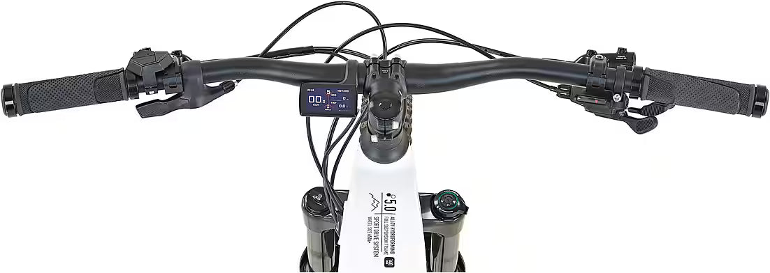 PROPHETE Dice 5.0 E-Bike Mountainbike